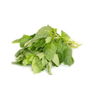 Basil