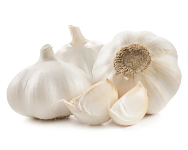 Garlic Bulbs