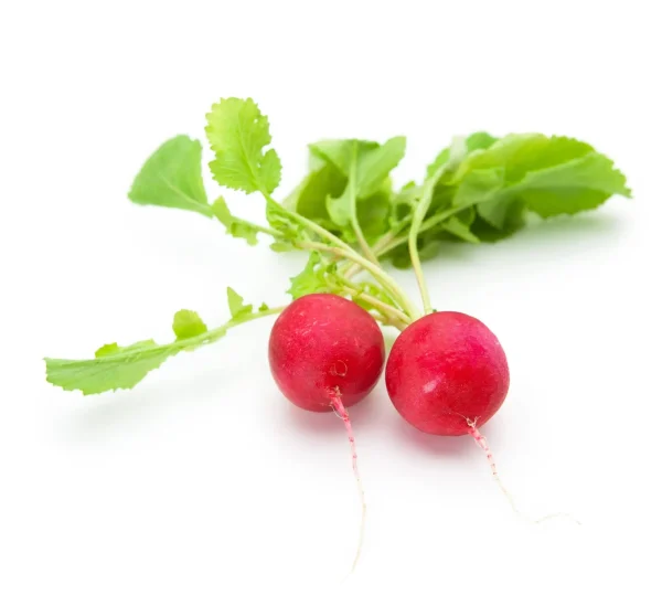 Radish
