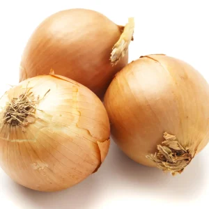 Spanish Onion